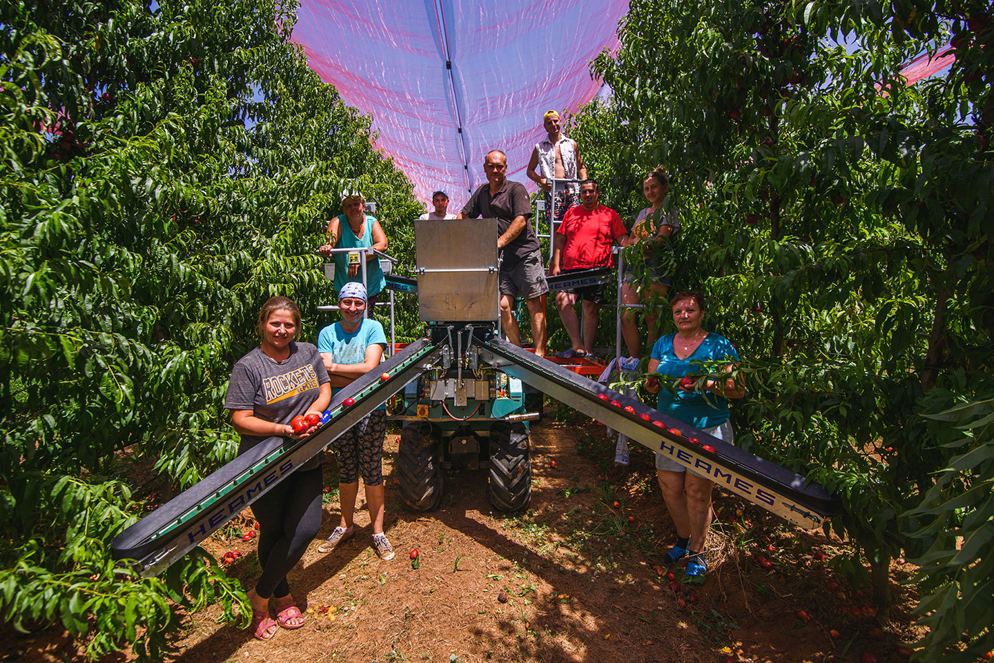 MIKS AGRO, obrt za poljoprivredu